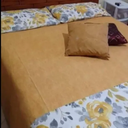 Vila Camel Costinesti
